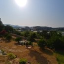 강상공인중개사사무소 이미지