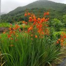 (주)크로커스 이미지