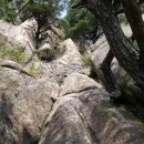 향로식당 이미지