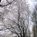 (주)위즈밀