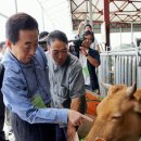 고건농장 이미지