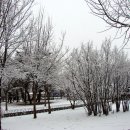 옥빛공원 이미지