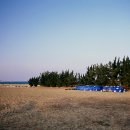 대양유화 이미지