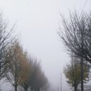 공주교육대학교 교육대학원 이미지