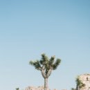 희망의 꿈 이미지