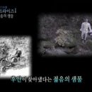 샘물조명 이미지