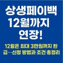 페이백 티스토리