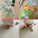 요거츄 | 강아지 간식 볼레로 산양유요거츄 칠면조힘줄 트위스트