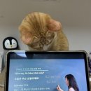 더스토리오브셀라 | 2024년 요약zip(~12월)