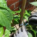 대림1경로당 이미지