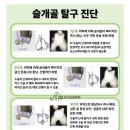 반포자이동물병원 이미지