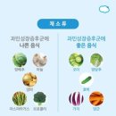 액상대장 이미지