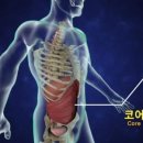 마린코어 이미지