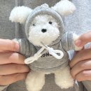 리빙룸루틴 | [일기] 2026년에 첫 발을 꾸욱! 내딛으며, 2025 블로그 문답✨