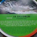 시례1 이미지