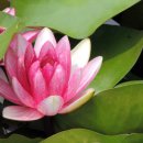 입곡문화공원 이미지