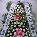 제일꽃집 이미지