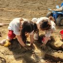 어느날성주 | 대구근교 당일 캠프닉 성주 아이랑 가 볼만 한 곳 솔가람피크닉