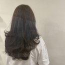 본모다 이미지