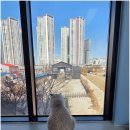 솔빈마루 이미지