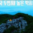 해발 1466m 절벽에서의 백패킹(feat. 국내 최고령 나무) 이미지