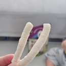 까까로운 | [내돈내산] 돌 전 아기 간식, 지구로운 유기농 스틱 4종