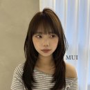 컬러무이 이미지