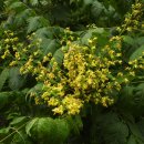 현대농원 이미지