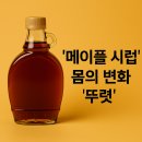 메이플인 이미지