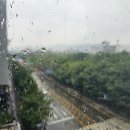 궂은 날씨도 막을 수 없는 정우인 열정💕/인천복싱 정우관 이미지