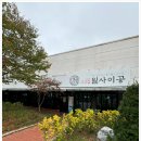 일사이공 이미지