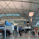 OZ | 푸켓 아시아나 왕복 A330,OZ725 OZ726 후기/기내식 수하물