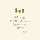 디지털헬렌 네이버블로그