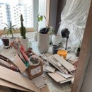 현진환경개발 이미지