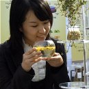 약초와 생활한방 이미지