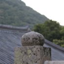 大方廣佛華嚴經(AVATAMSAKA SUTRA)/世主妙嚴品 17 이미지