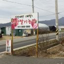 경북농장 | 경북 칠곡 | 착한딸기농장 직판장, 당일수확 딸기 구매 후기