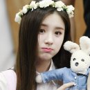 쥬마벨 이미지