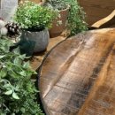 NC 신구로점 3층-1 이미지