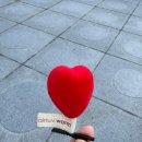 아이러브댕댕 | 서울특별시/한화손해보험/ 2025년 11월 1일 토요일/유아차마라톤/2025 서울 유아차런 참가후기!!