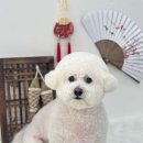 몽시떼루 이미지