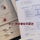 금빛잉어 이미지