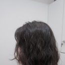 정희살롱 이미지