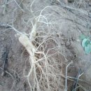 햇살농장 이미지