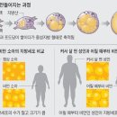 발안우리들의원 네이버블로그