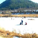 설매공원 Daum카페