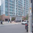 정춘자 왕코다리찜,능이오리백숙 이미지