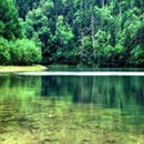 승진상사 이미지