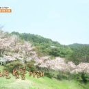 1박2일 피디님 hoxy~^^ 이미지