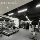 메이트 피티 이미지